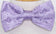 files/278BOWTIE-MAN-PIC8-CALLA-COLLECTION.jpg