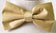 files/BOWTIE-MAN-MORE-PIC1-CALLA-COLLECTION.jpg