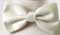 files/BOWTIE-MAN-MORE-PIC2-CALLA-COLLECTION.jpg