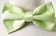 files/BOWTIE-MAN-MORE-PIC4-CALLA-COLLECTION.jpg