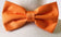 files/BOWTIE-MAN-MORE-PIC5-CALLA-COLLECTION.jpg