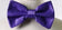 files/BOWTIE-MAN-MORE-PIC8-CALLA-COLLECTION.jpg